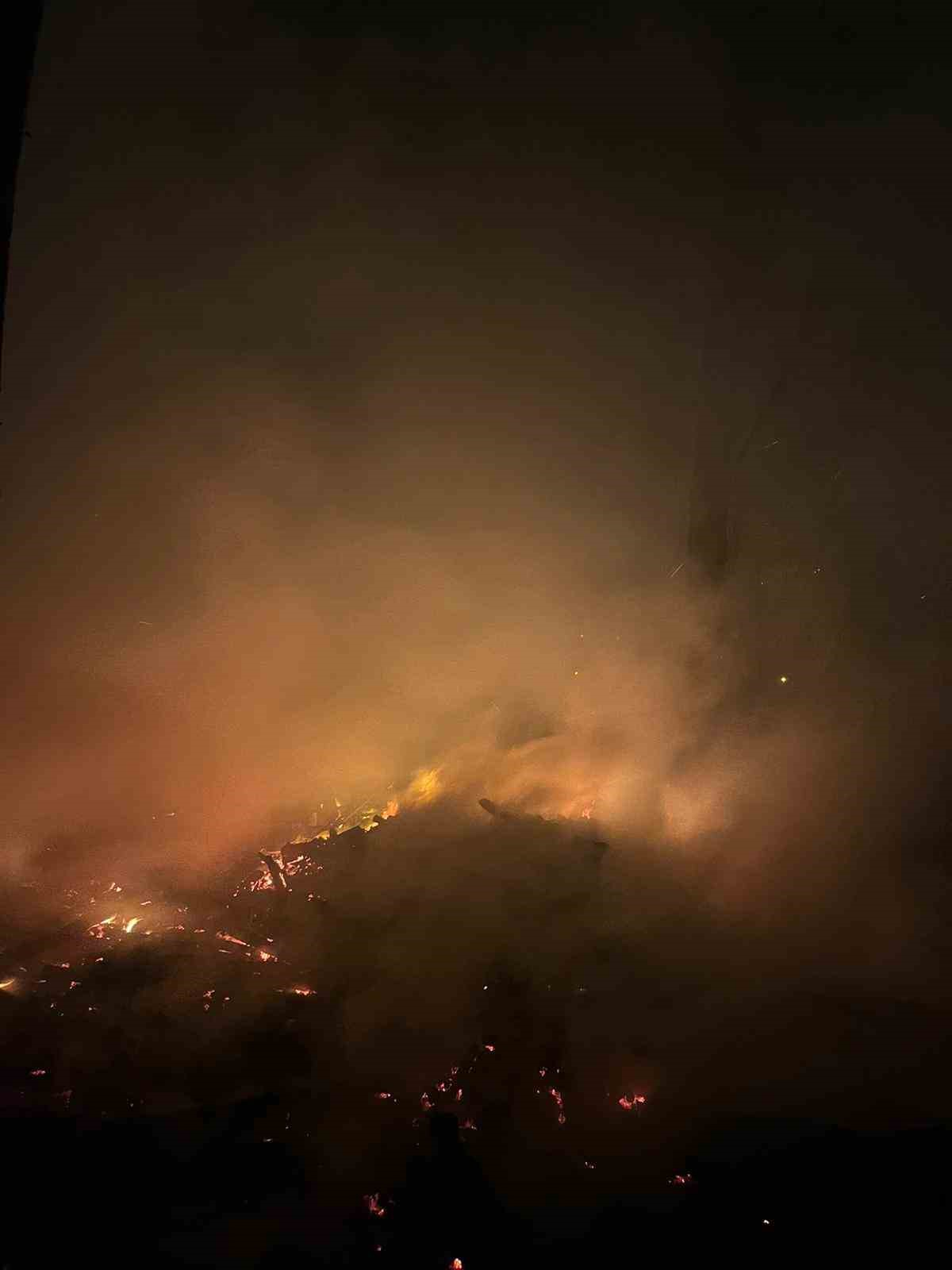 filyosta-agaclik-alanda-cikan-yangin-korkuttu