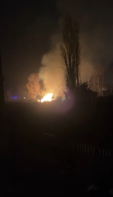 filyosta-agaclik-alanda-cikan-yangin-korkuttu