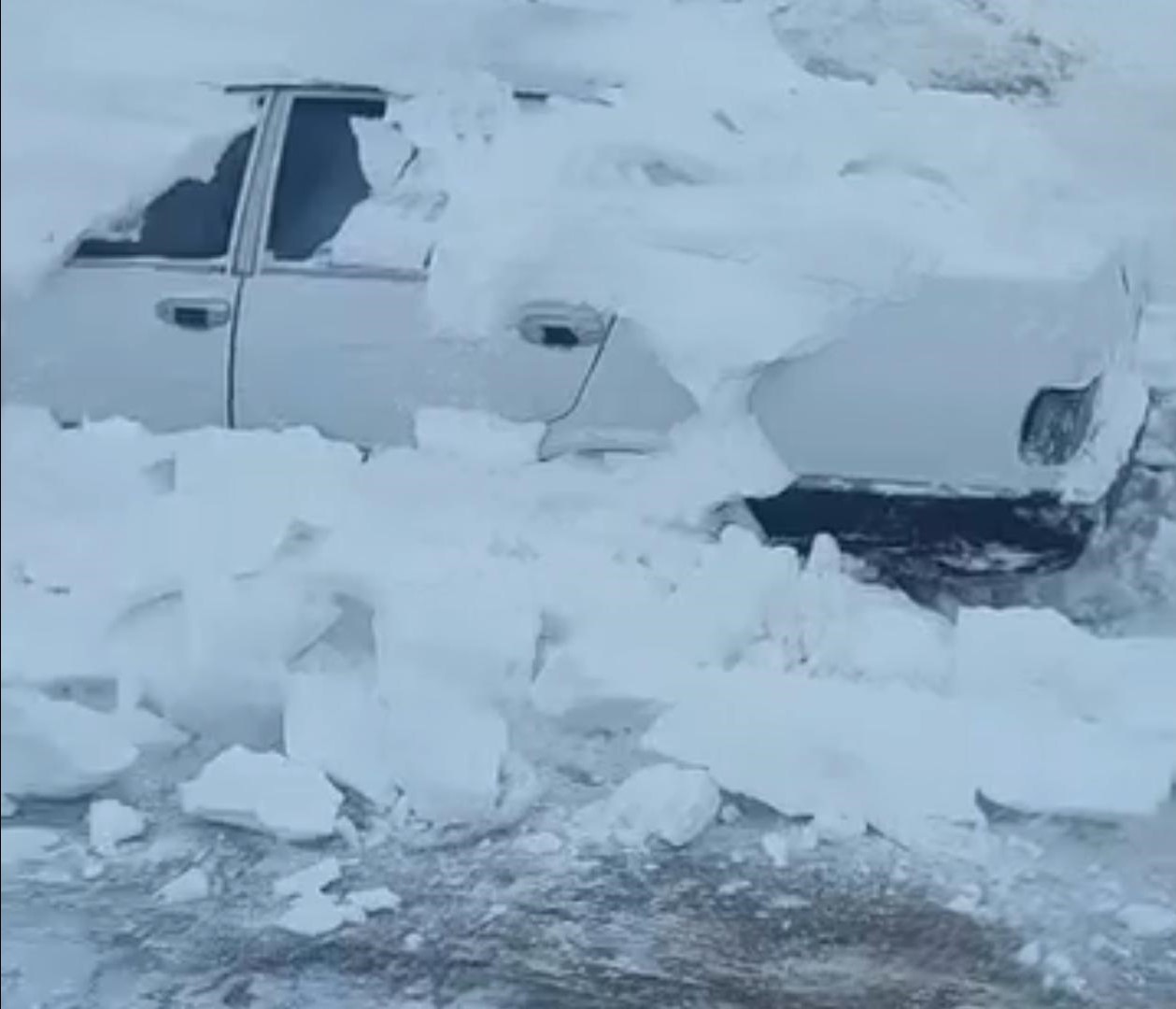 hayvanlar-ac-kalmasin-diye-ciktigi-yolda-olumden-dondu
