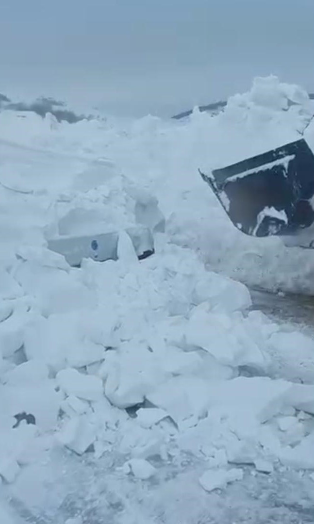 hayvanlar-ac-kalmasin-diye-ciktigi-yolda-olumden-dondu