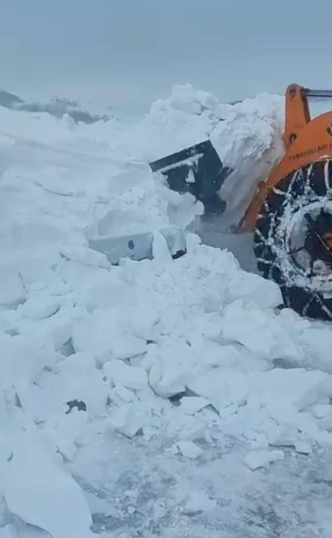 hayvanlar-ac-kalmasin-diye-ciktigi-yolda-olumden-dondu