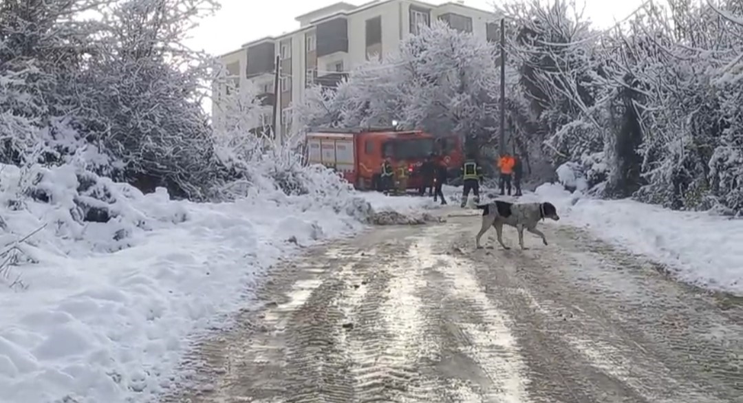 karli-yolda-cop-kamyonu-geriye-kaydi-isci-yaralandi