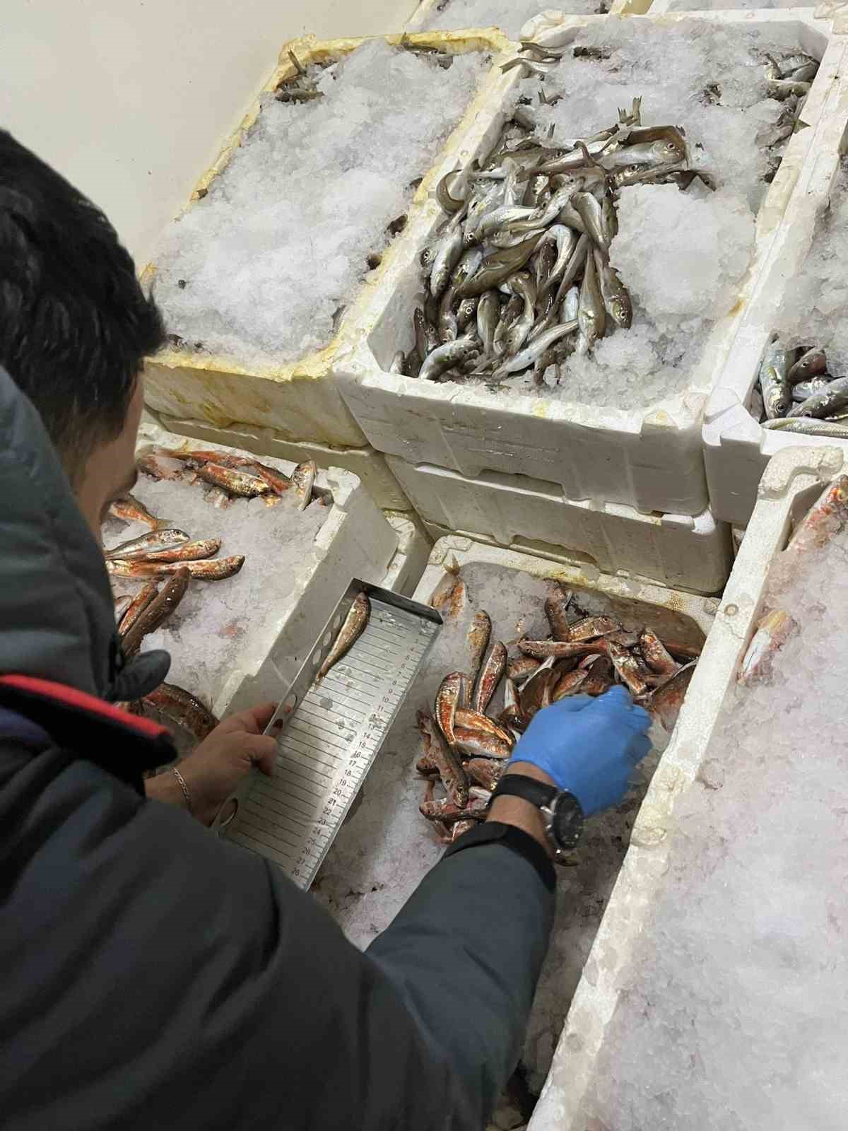 kastamonuda-usulsuz-avlanan-1-ton-335-kilogram-baliga-el-konuldu