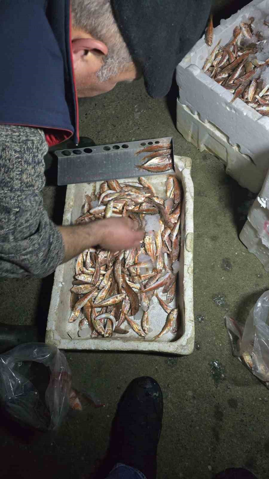 kastamonuda-usulsuz-avlanan-1-ton-335-kilogram-baliga-el-konuldu