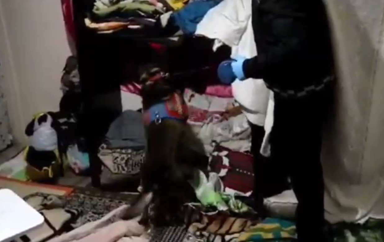 kastamonuda-uyusturucu-operasyonlarinda-9-gozalti