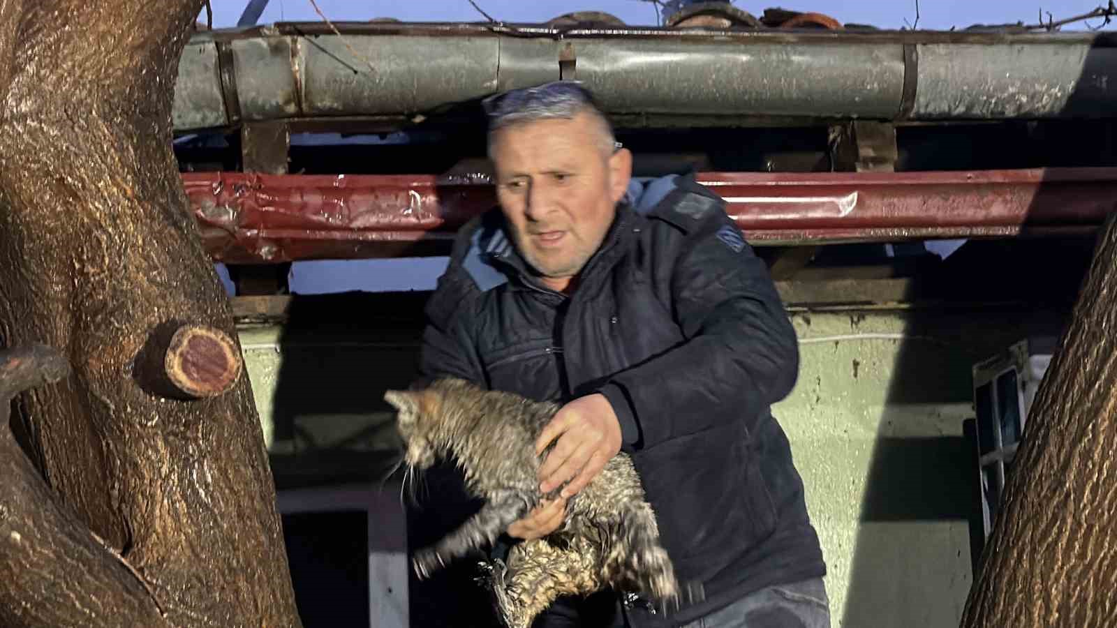 kediler-usumesin-diye-yakilan-soba-faciaya-donustu-iki-ev-kule-dondu