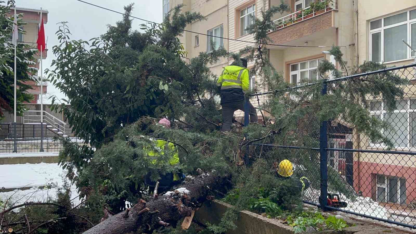 kokunden-sokulen-agac-park-halindeki-aracin-uzerine-devrildi