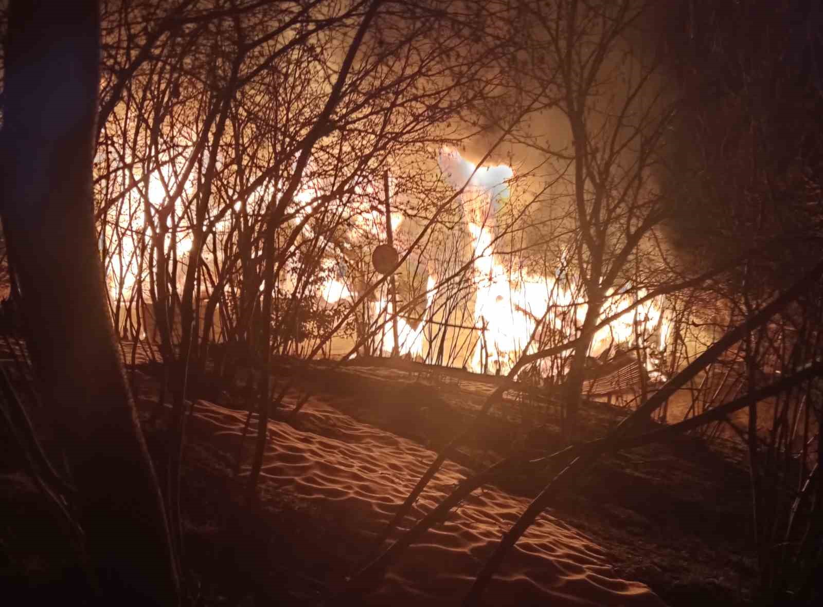 orduda-evini-atese-veren-sahis-agacta-asili-halde-bulundu