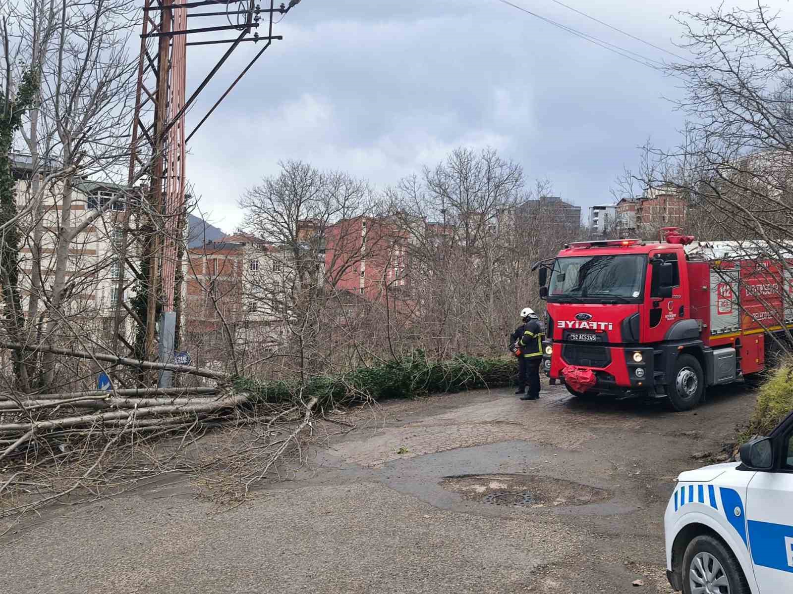 orduda-firtina-nedeniyle-cati-uctu-agac-devrildi