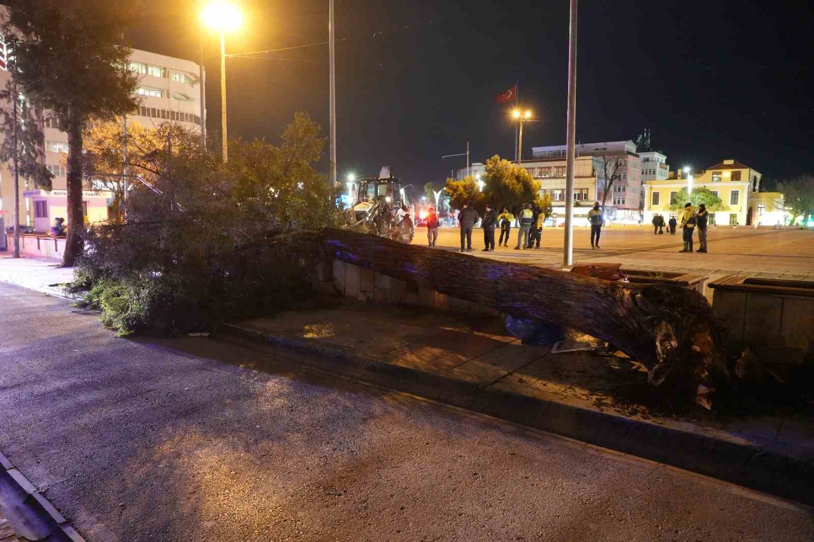 samsunda-firtina-catilari-ucurdu-agaclari-devirdi