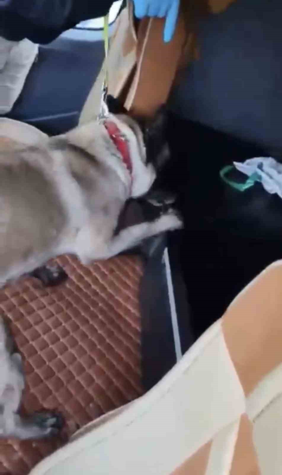 samsunda-tirda-metamfetamin-ele-gecirildi