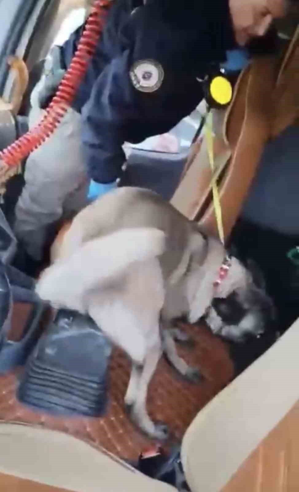 samsunda-tirda-metamfetamin-ele-gecirildi