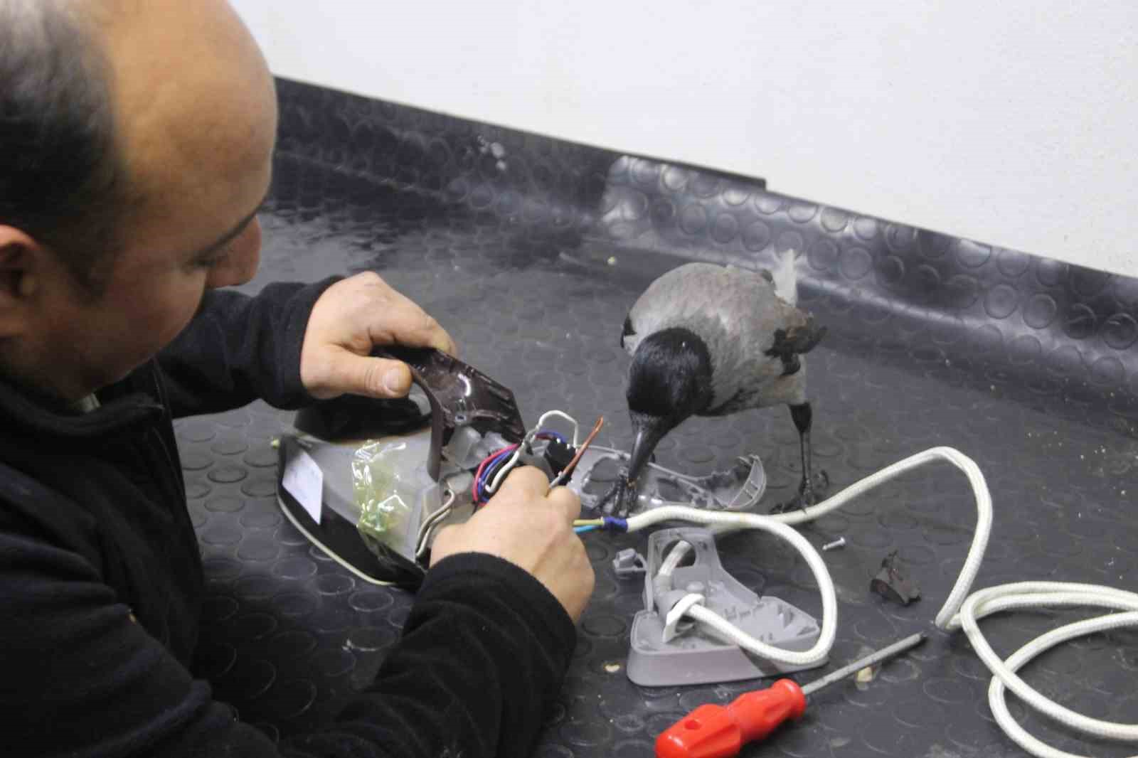 tamirci-ciragi-karga