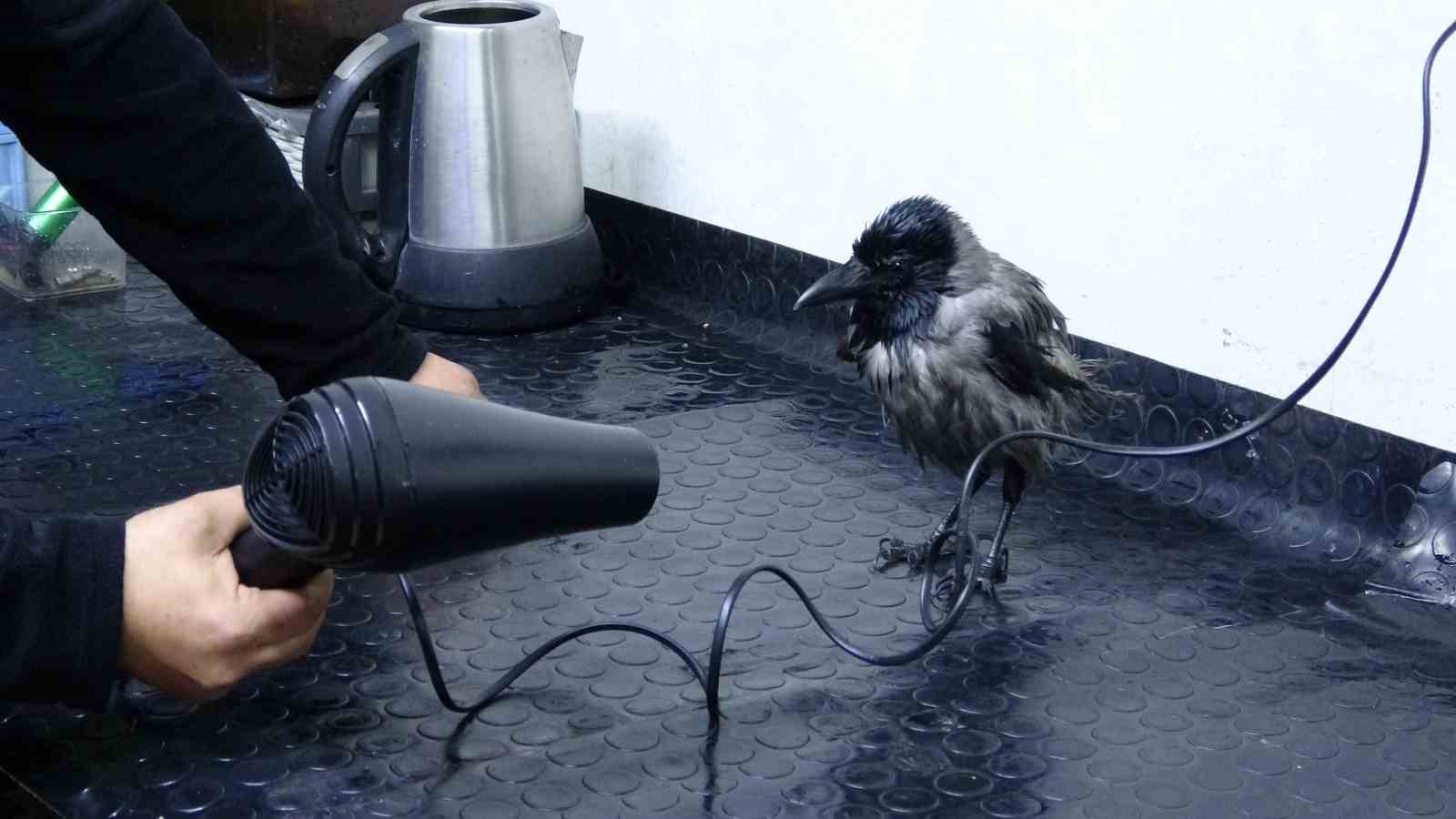 tamirci-ciragi-karga