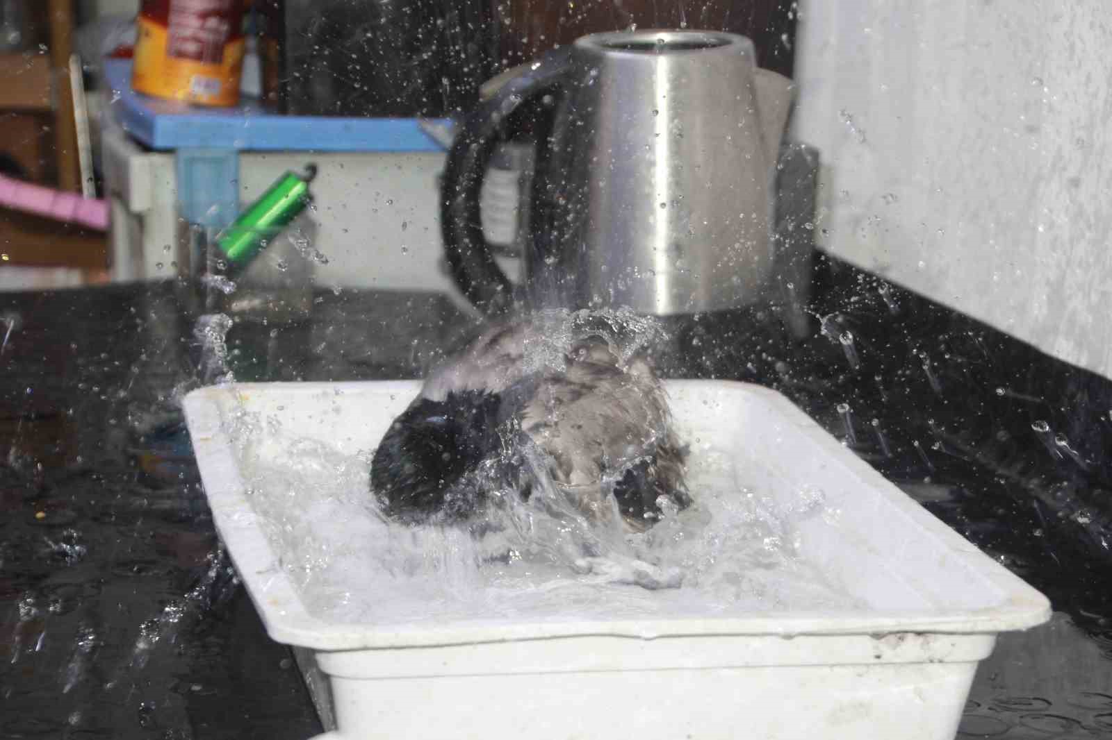 tamirci-ciragi-karga