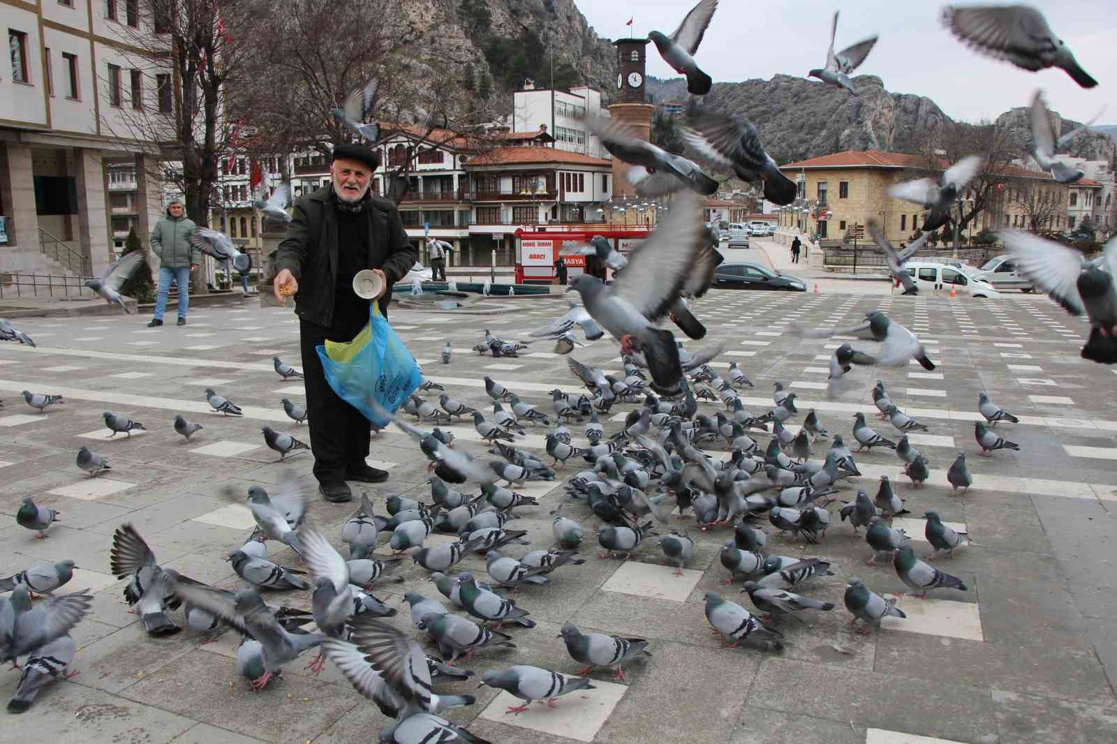 yemci-dede-20-yildir-sokaklardaki-guvercinleri-beslemeden-kahvalti-yapmiyor