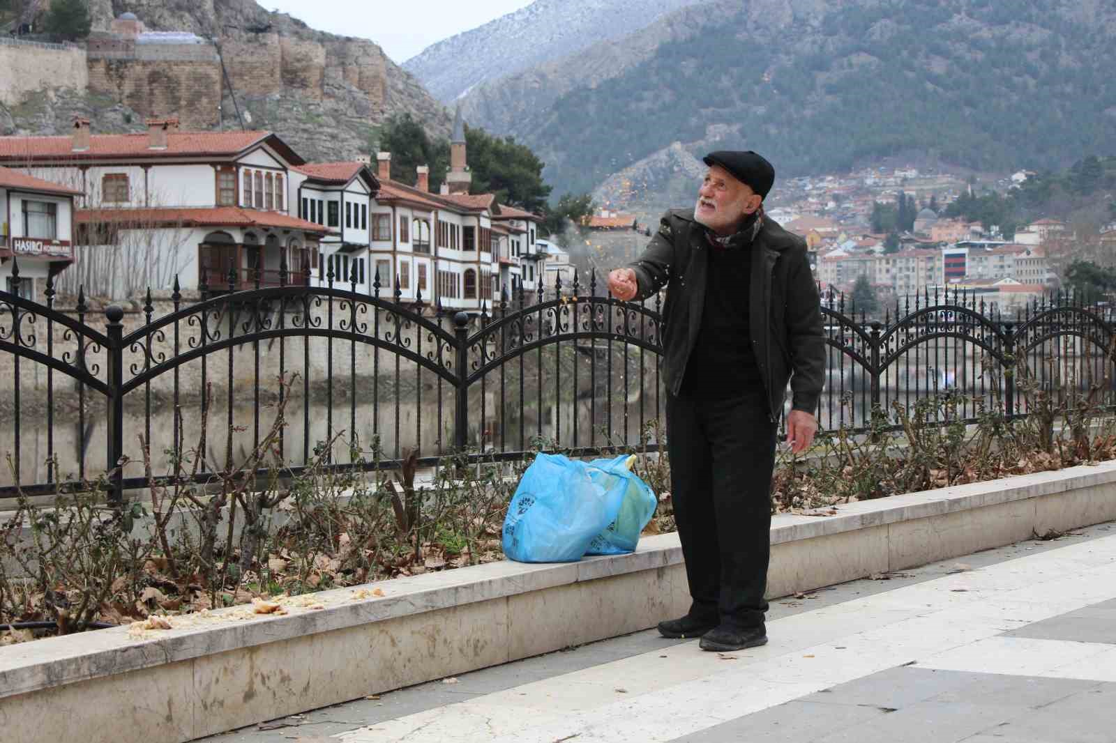 yemci-dede-20-yildir-sokaklardaki-guvercinleri-beslemeden-kahvalti-yapmiyor