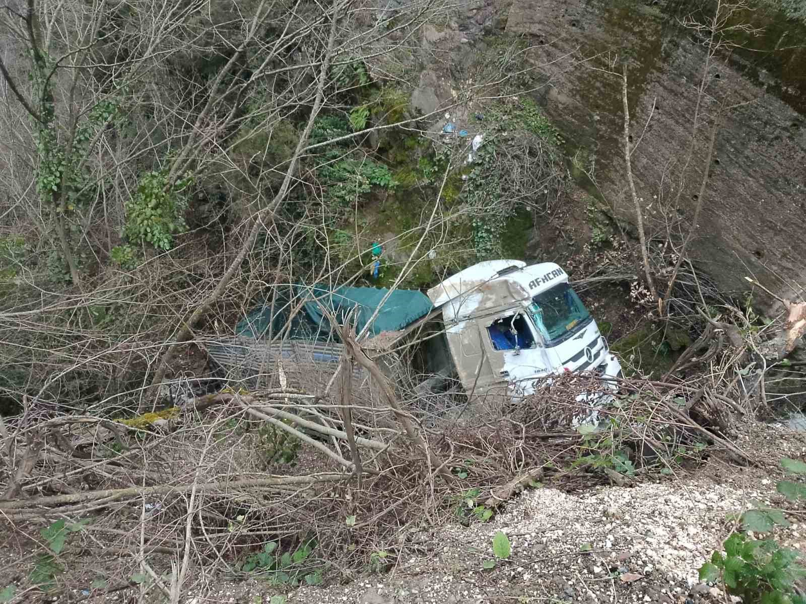 alaplida-kamyon-sarampole-uctu