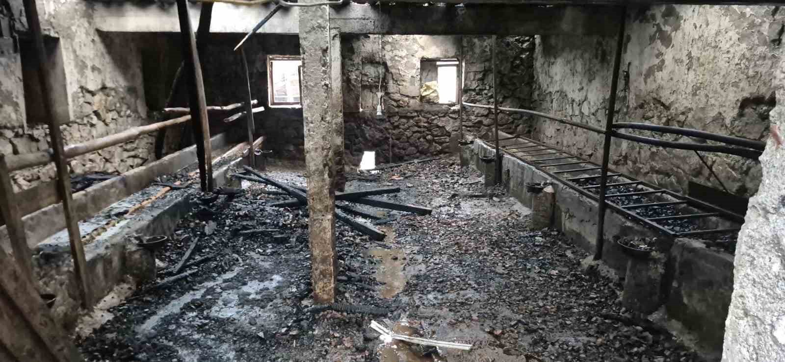 amasyada-ahir-yanginda-kul-oldu-1-hayvan-telef-oldu