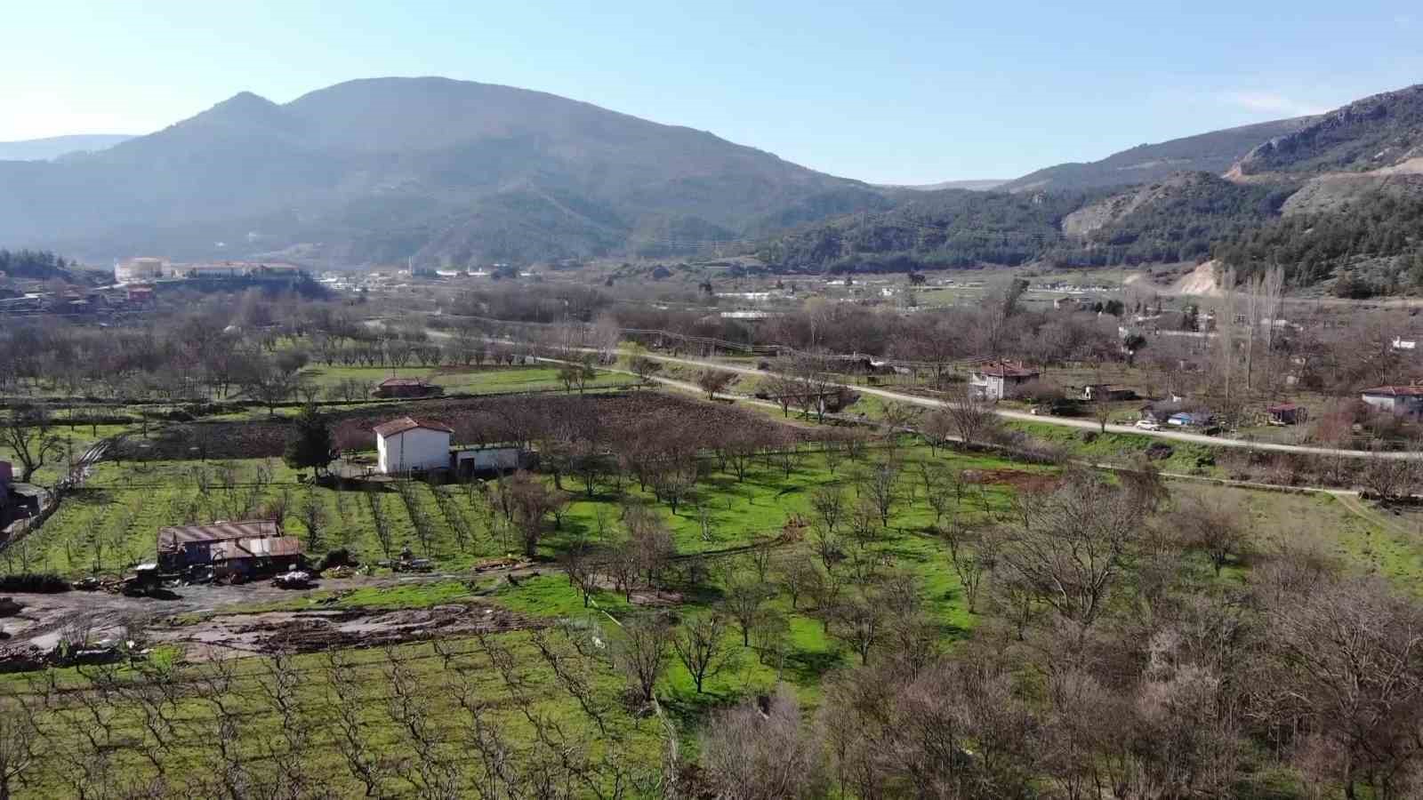 amasyada-badem-agaclari-cicek-acti