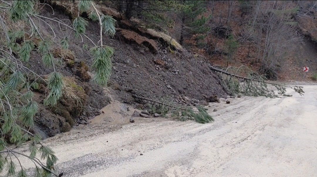 amasyada-ormanlik-alanda-heyelan-agaclar-devrildi