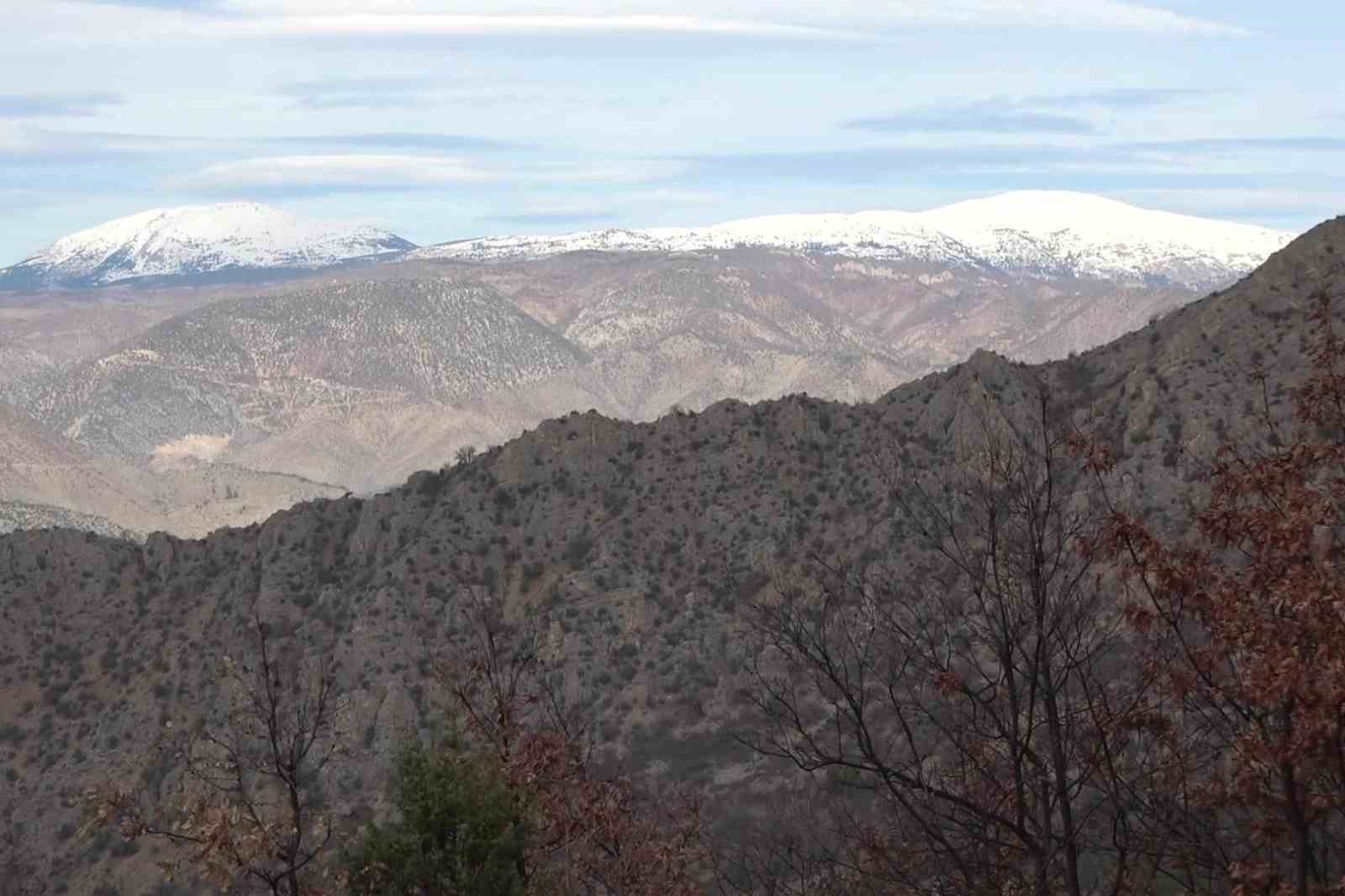 amasyanin-daglarinda-cicekler-acmaya-basladi-anadoludaki-bitkiler-milli-servet