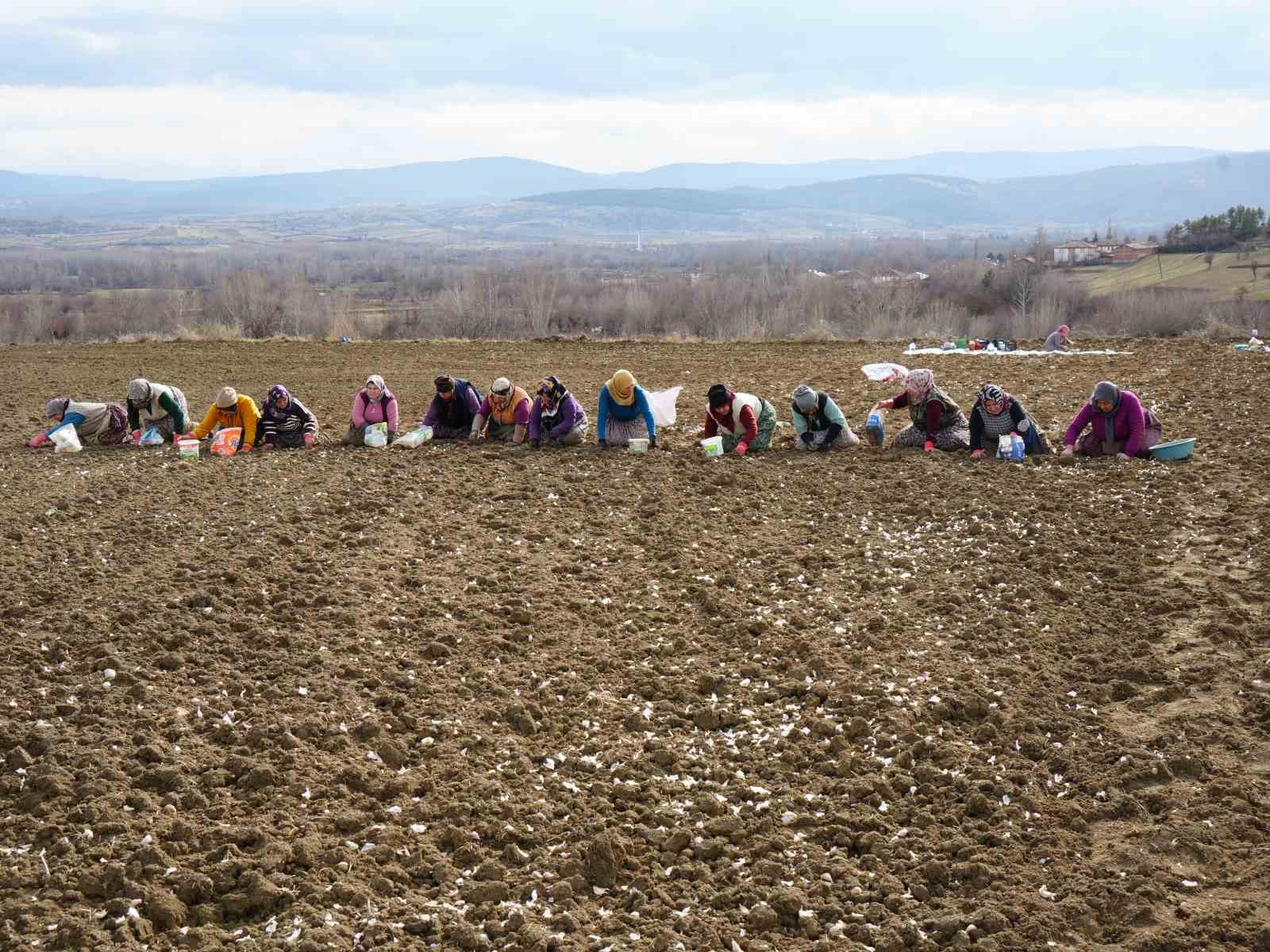 annenin-fedakarlik-dolu-yolculugu-cocuklari-icin-megakenti-birakip-topraga-sarildi