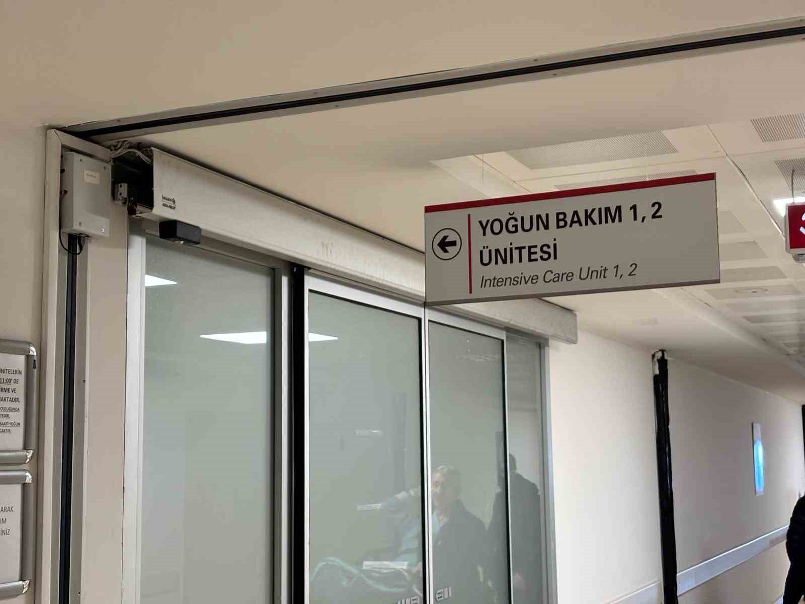 basibos-kopekler-tehlike-saciyor