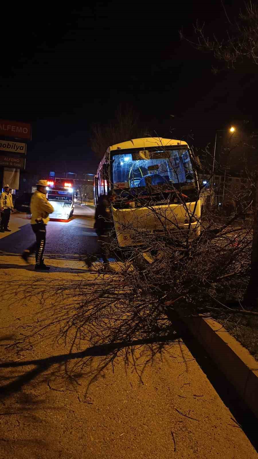 boluda-kontrolden-cikan-halk-otobusu-refuje-cikti-agaca-carparak-durabildi