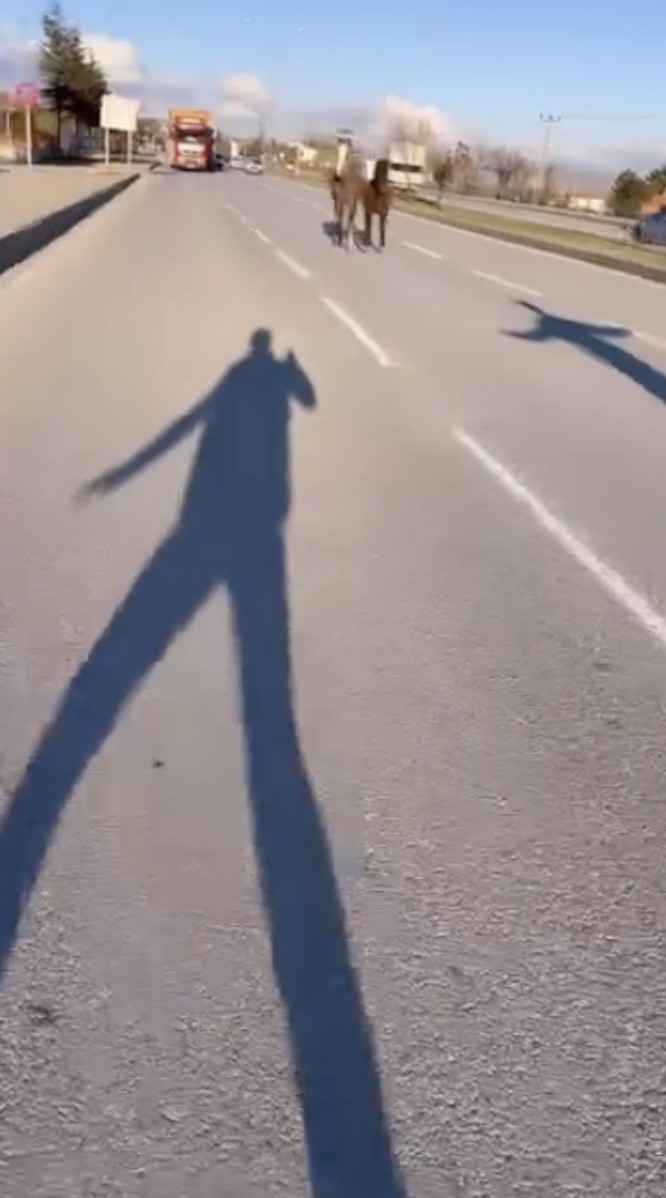 corumda-basibos-atlar-trafigi-tehlikeye-atti-o-anlar-kamerada