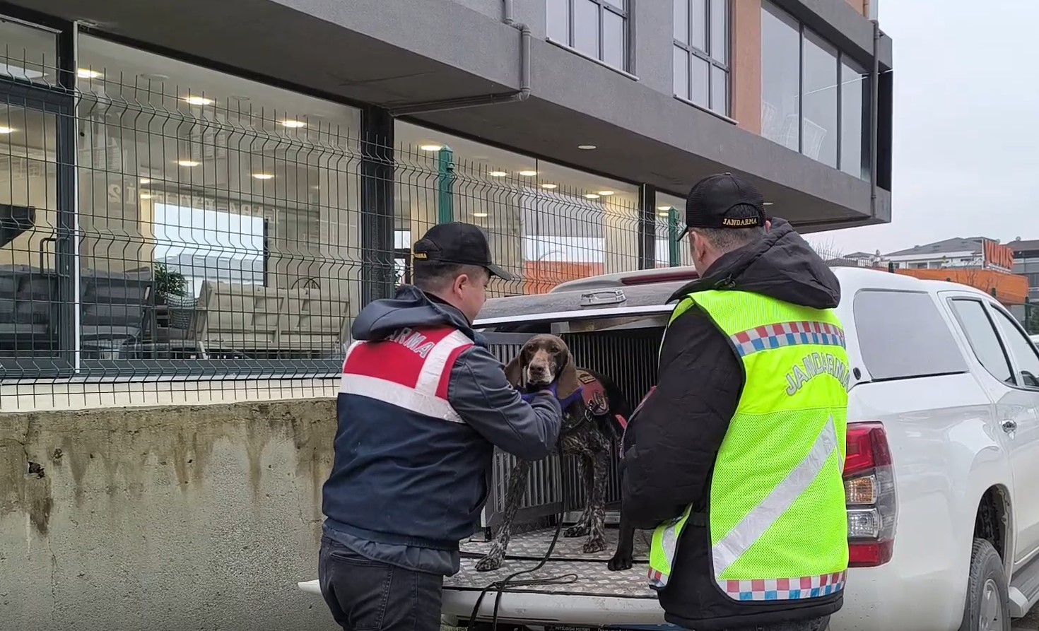 duzcede-suc-orgutu-operasyonu-36-gozalti