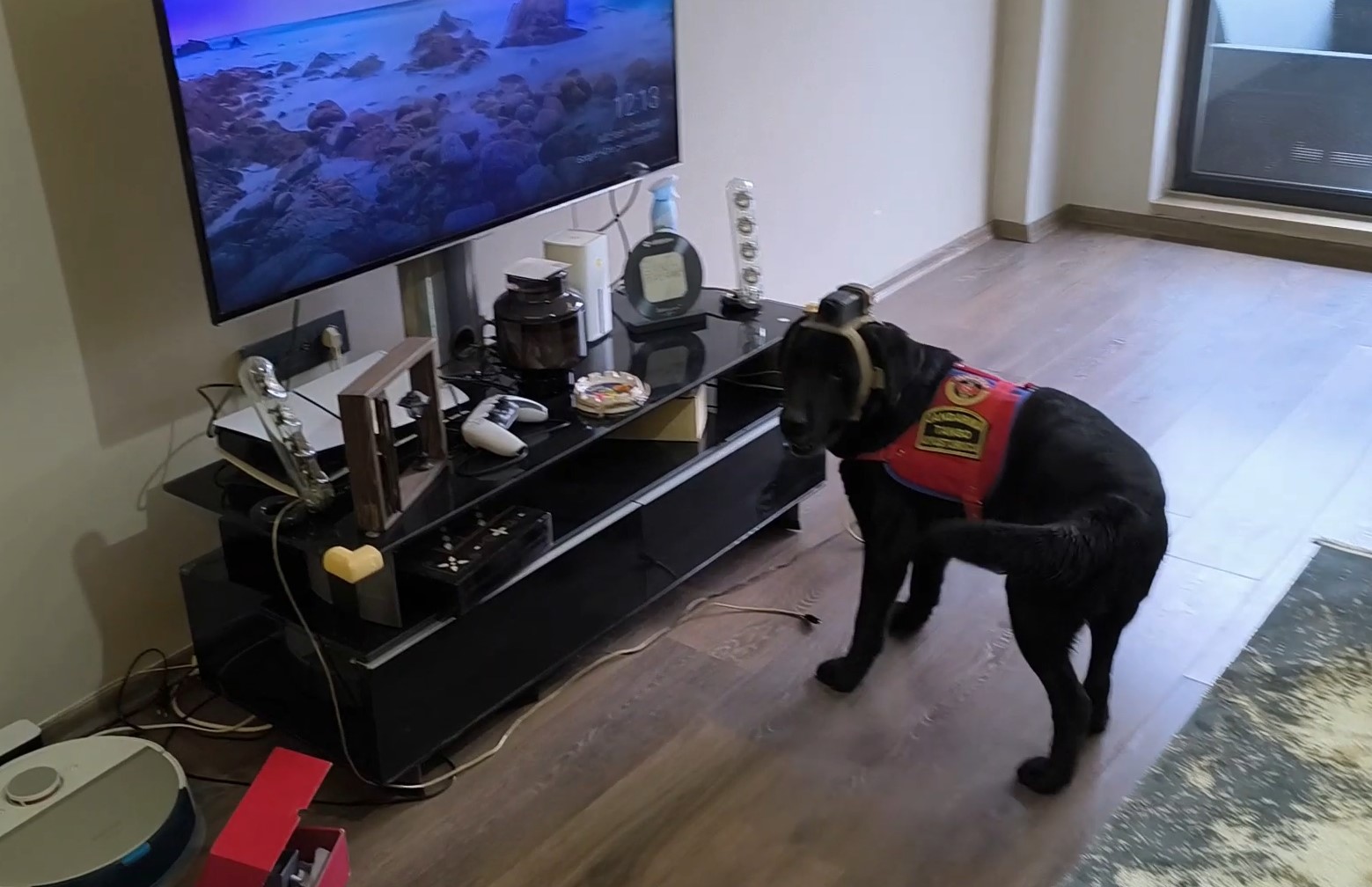 duzcede-suc-orgutu-operasyonu-36-gozalti