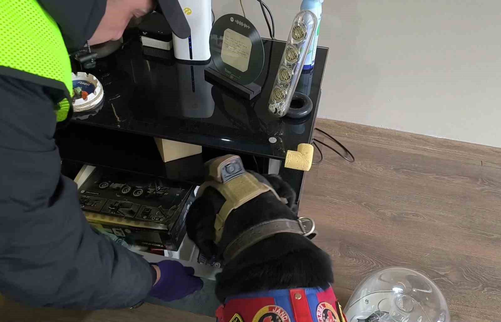 duzcede-suc-orgutu-operasyonu-36-gozalti