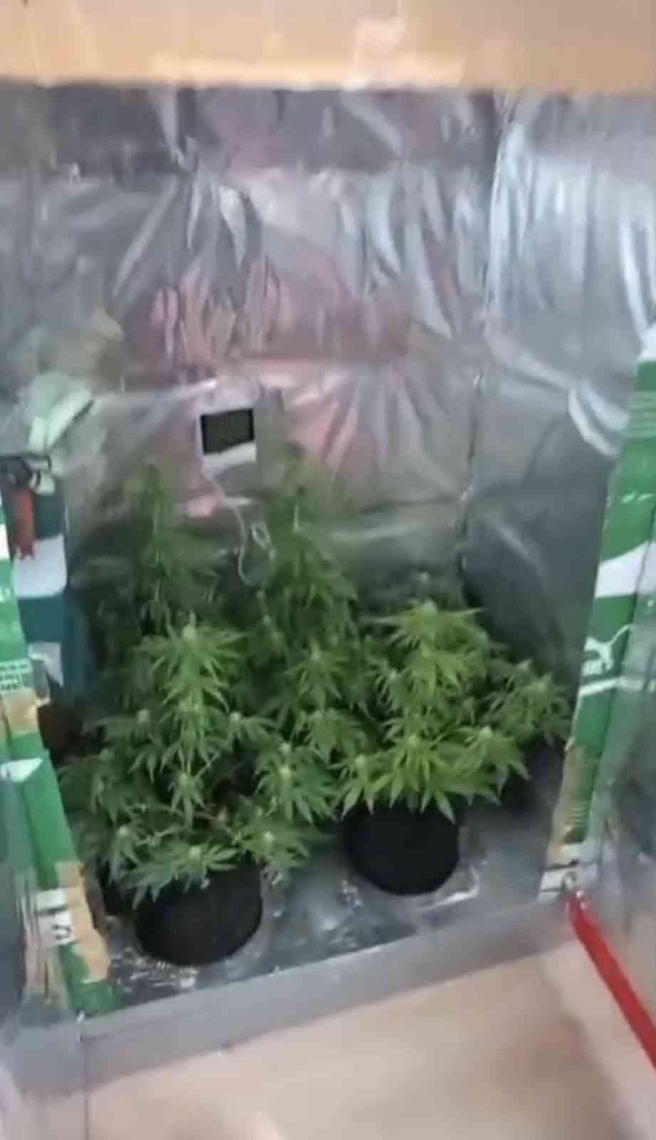 elbise-dolabinda-ozel-iklimlendirme-sistemiyle-uyusturucu-serasi