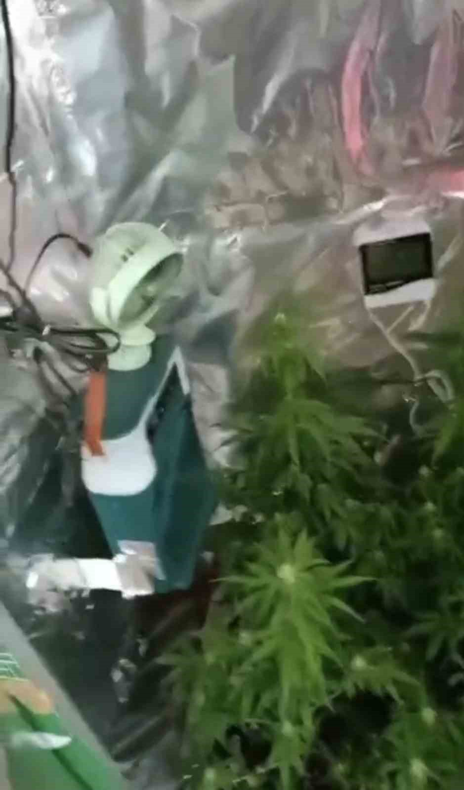 elbise-dolabinda-ozel-iklimlendirme-sistemiyle-uyusturucu-serasi