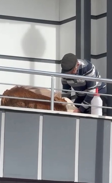 hasta-buzagiya-evinde-bakti