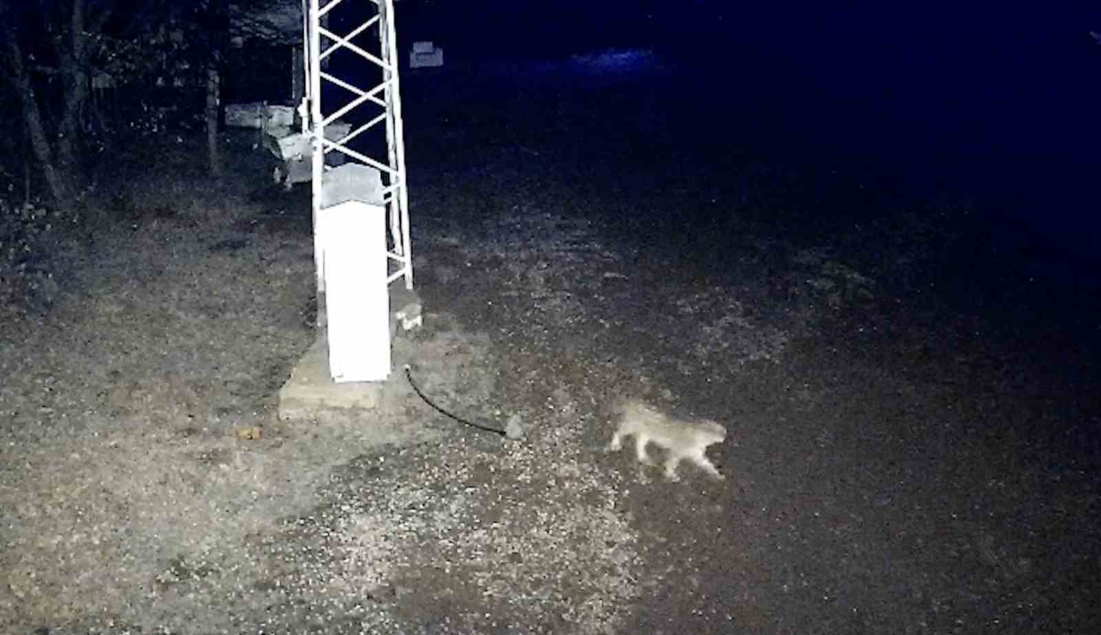 ilce-merkezine-inen-vasak-kamerada