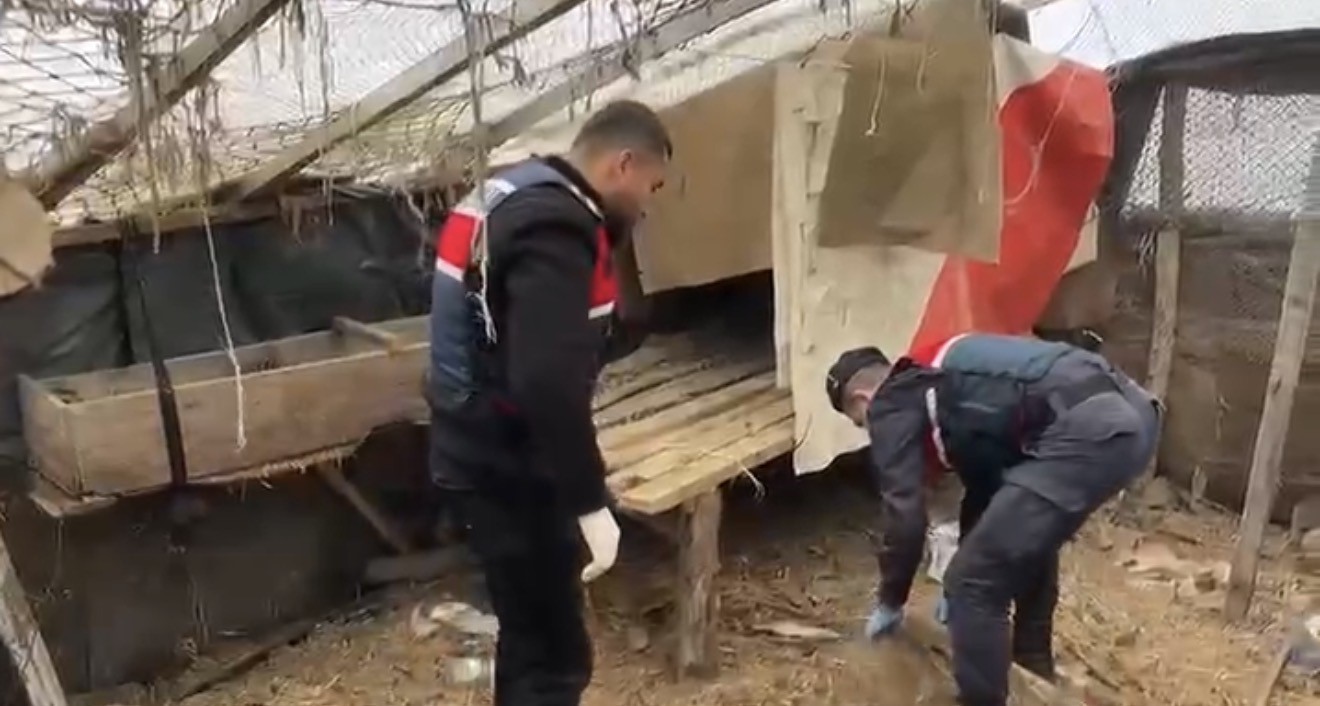 jandarma-kumese-saklanan-uyusturucuyu-ele-gecirdi-2-gozalti