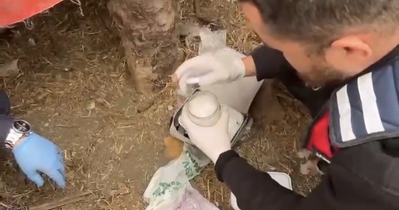 jandarma-kumese-saklanan-uyusturucuyu-ele-gecirdi-2-gozalti