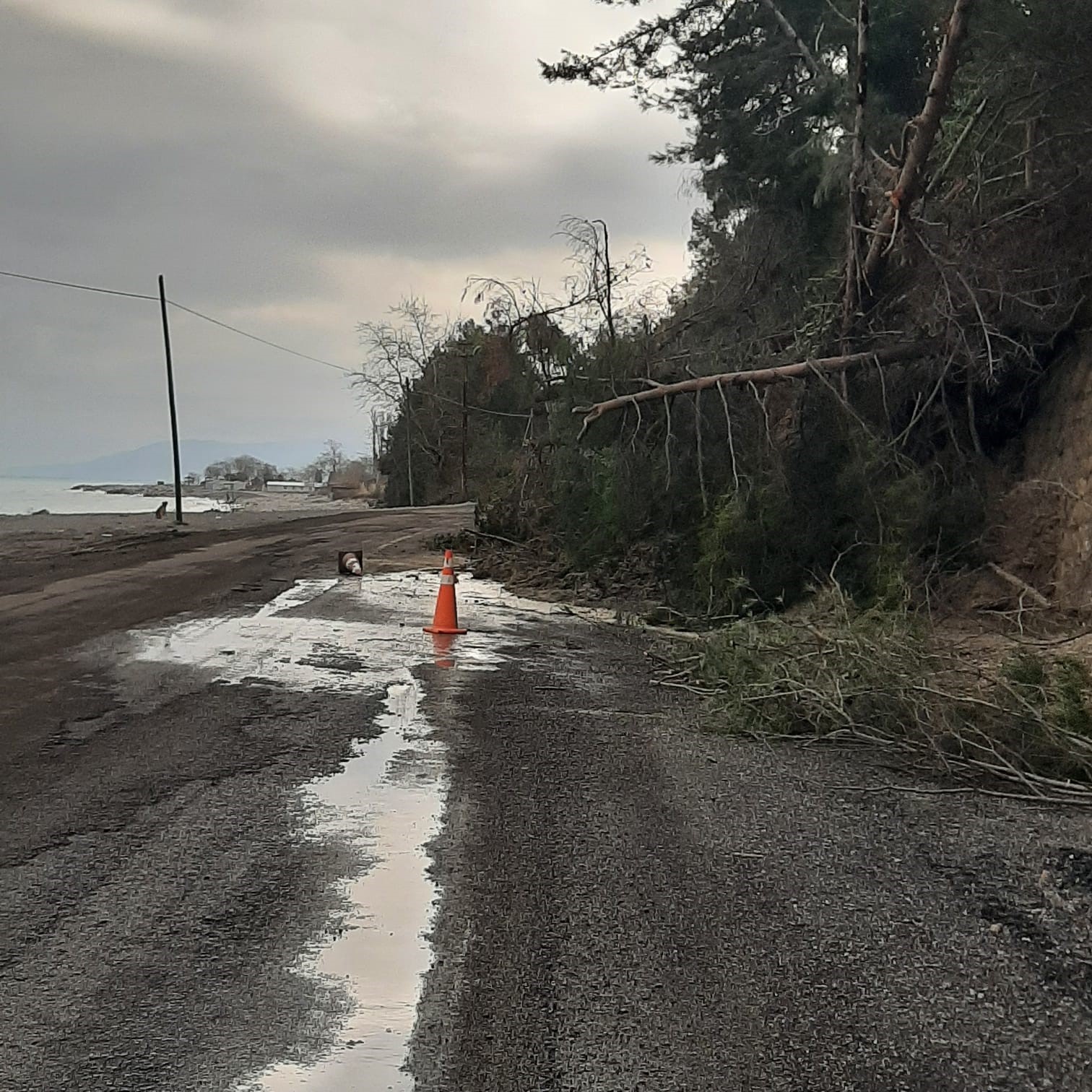 kastamonuda-heyelanda-istinat-duvarini-asan-agaclar-yola-kadar-geldi