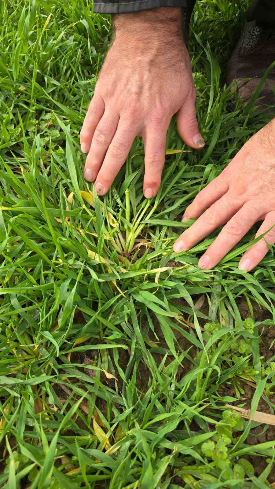 kayit-altina-aliniyor