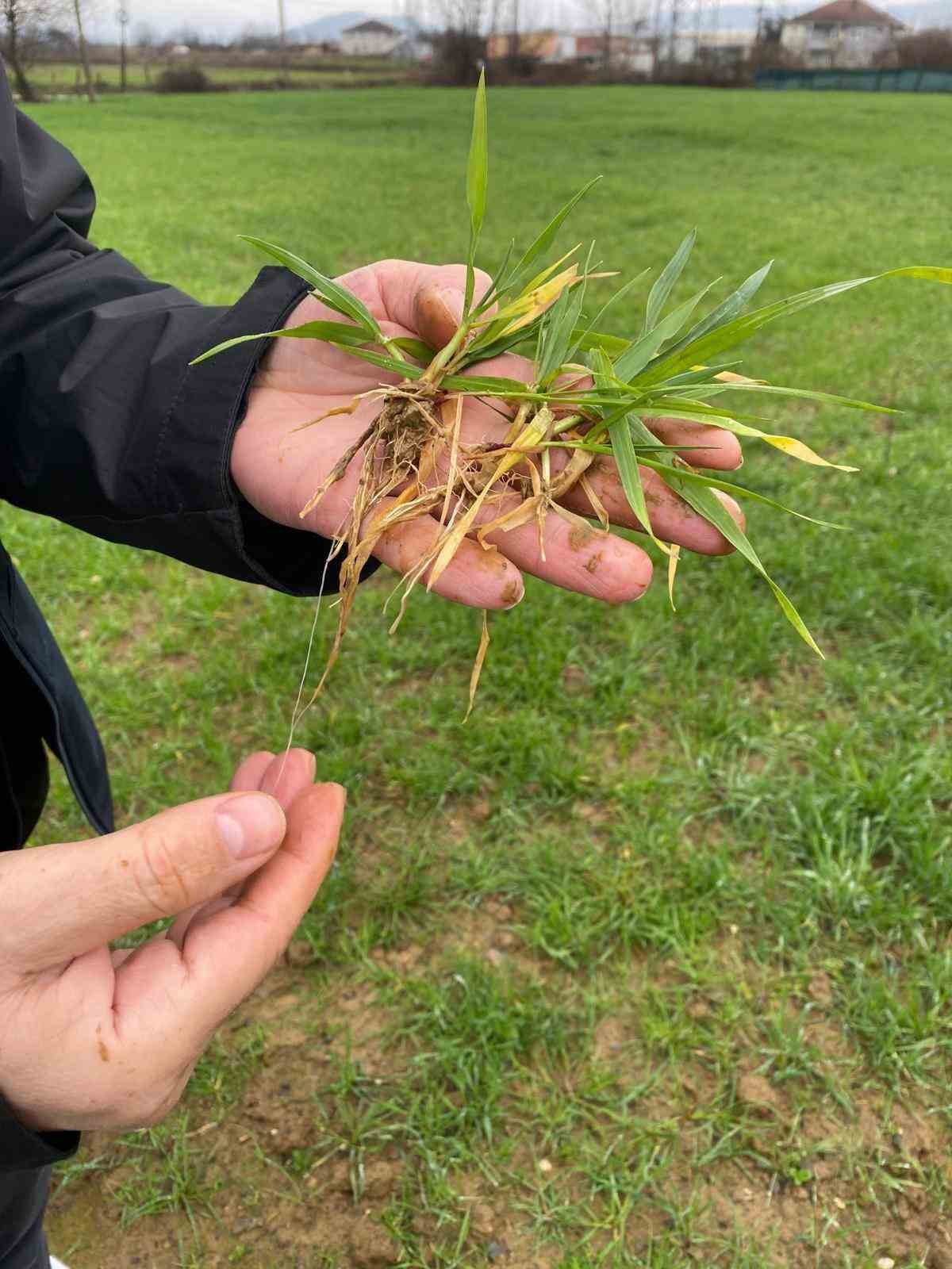 kayit-altina-aliniyor