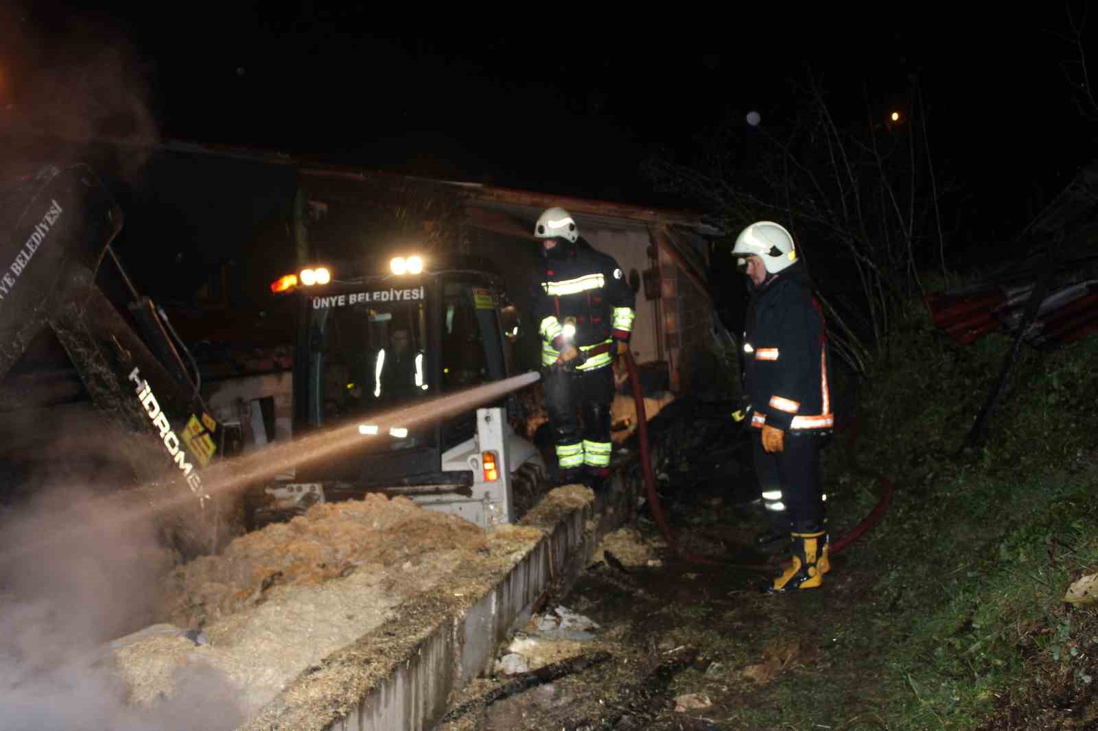 orduda-ahir-yangini-27-buyukbas-hayvan-telef-oldu