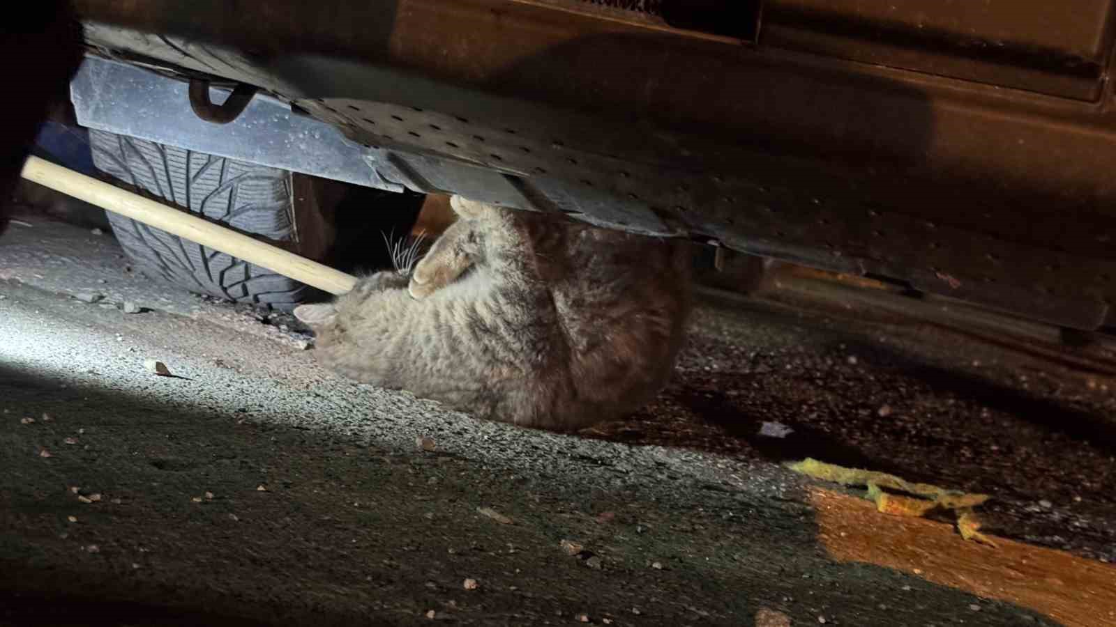 otomobilin-motoruna-sikisan-kedi-icin-seferber-oldular