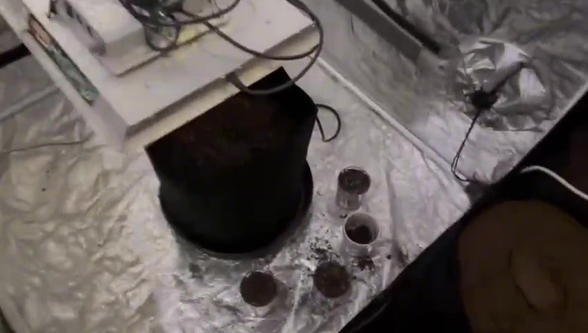 ozel-duzenekle-uyusturucu-yetistirilen-eve-polis-baskini