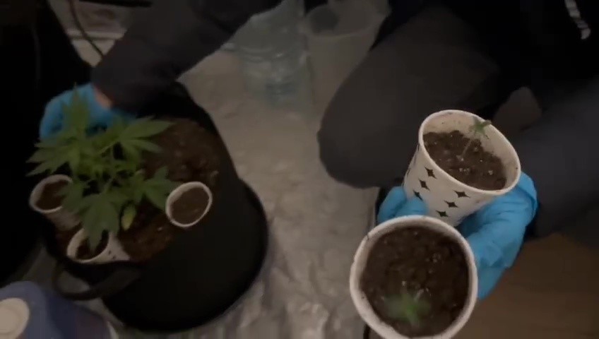 ozel-duzenekle-uyusturucu-yetistirilen-eve-polis-baskini