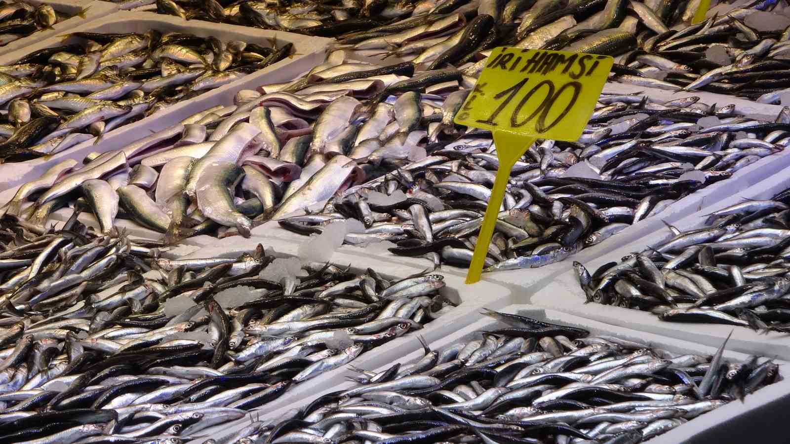 son-yillarin-en-uzun-hamsi-sezonu-yasaniyor