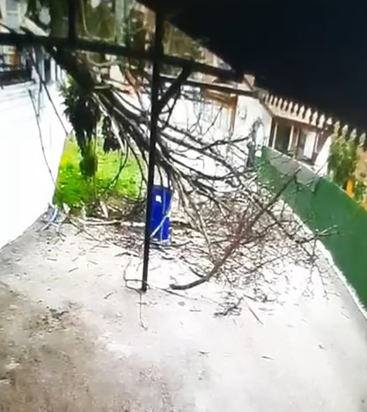 tokatta-firtinanin-devirdigi-agacin-altinda-kalmaktan-son-anda-kurtuldu