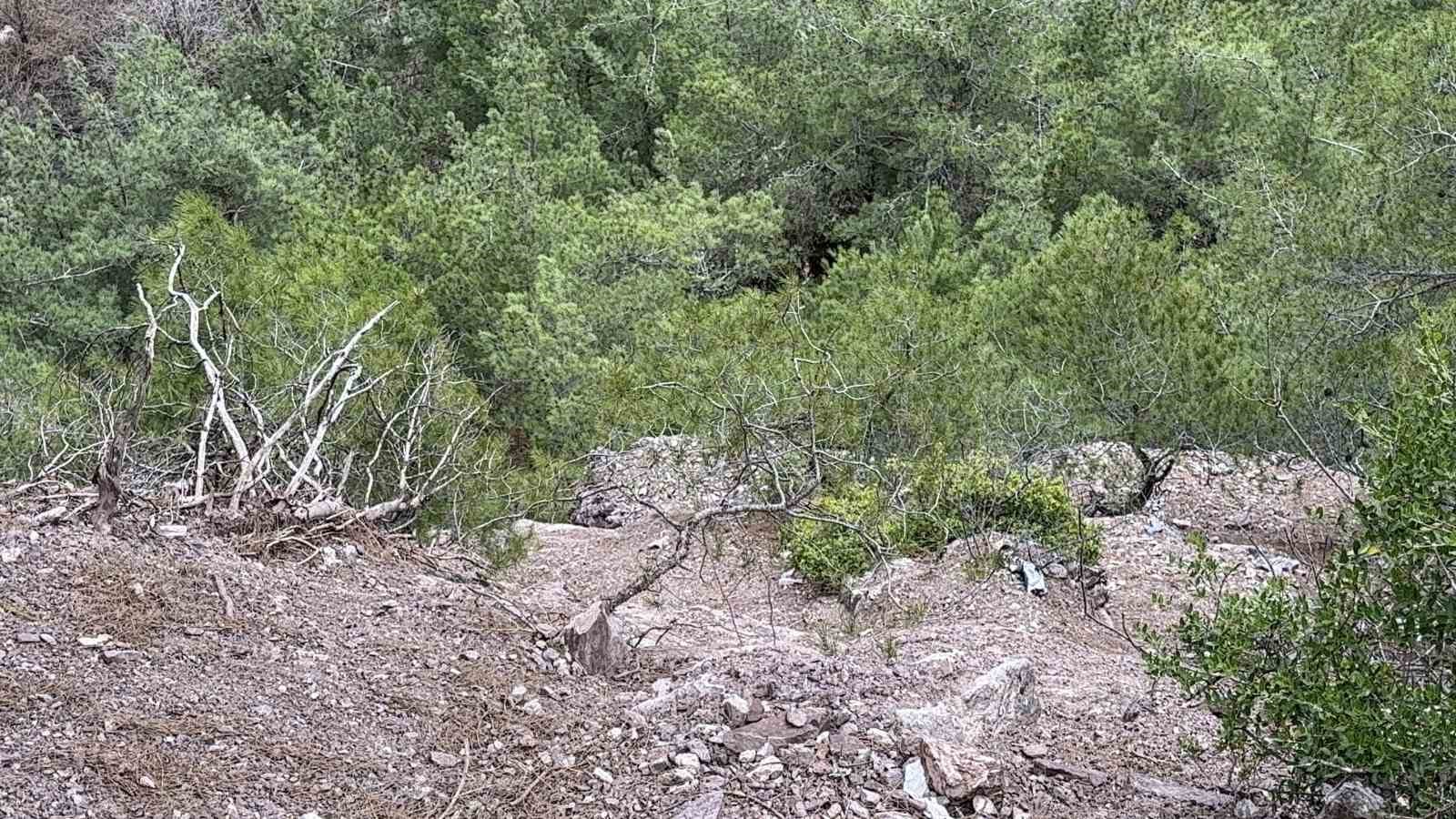 tokatta-kayip-olarak-aranan-kisinin-100-metrelik-ucurumda-cansiz-bedeni-bulundu