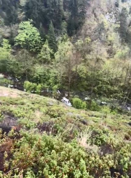 artvinde-arac-ucuruma-yuvarlandi-1-yarali